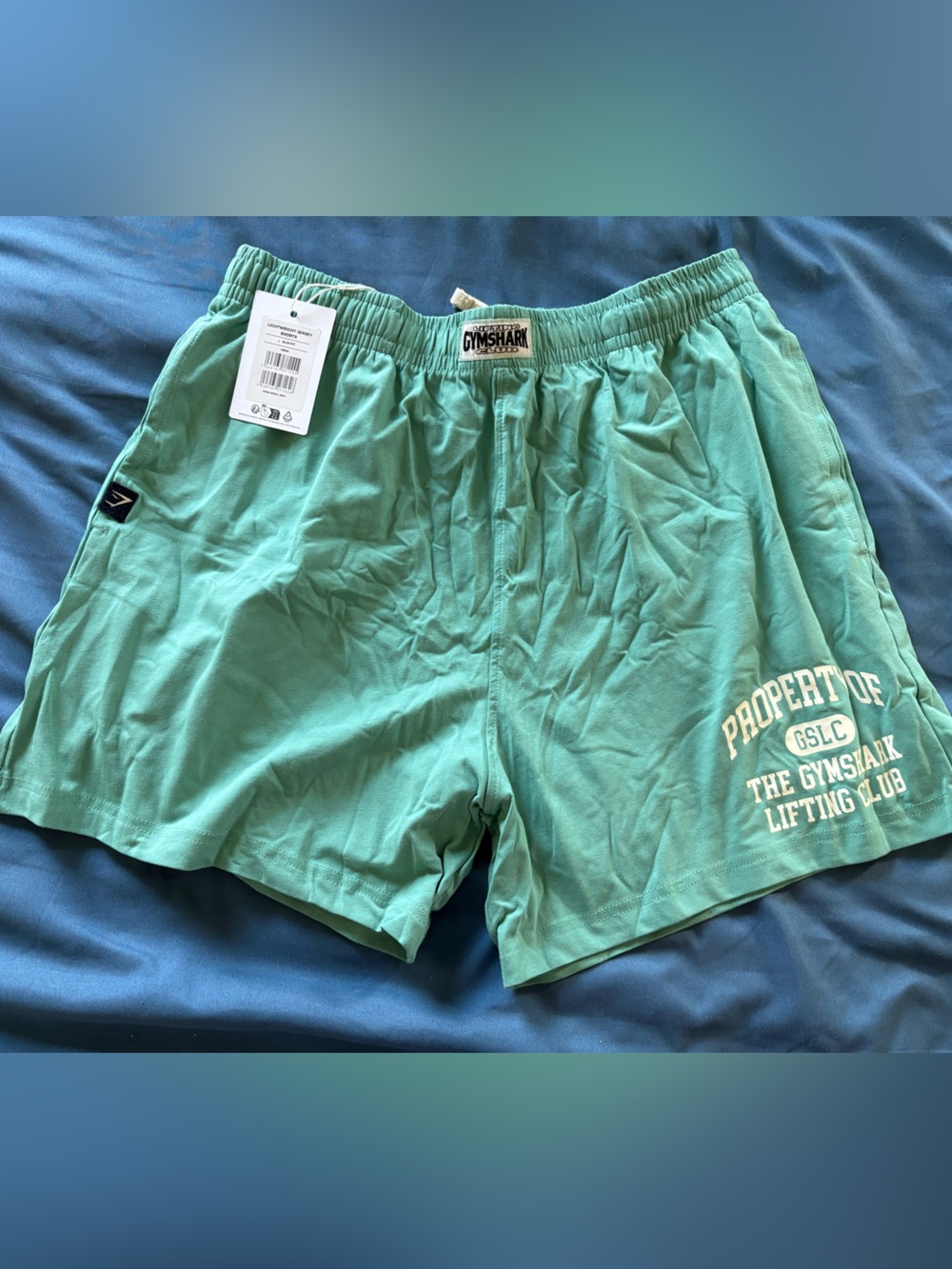 Gymshark Lightweight Jersey Shorts Men’s L Green Slim Fit Cotton Drawstring